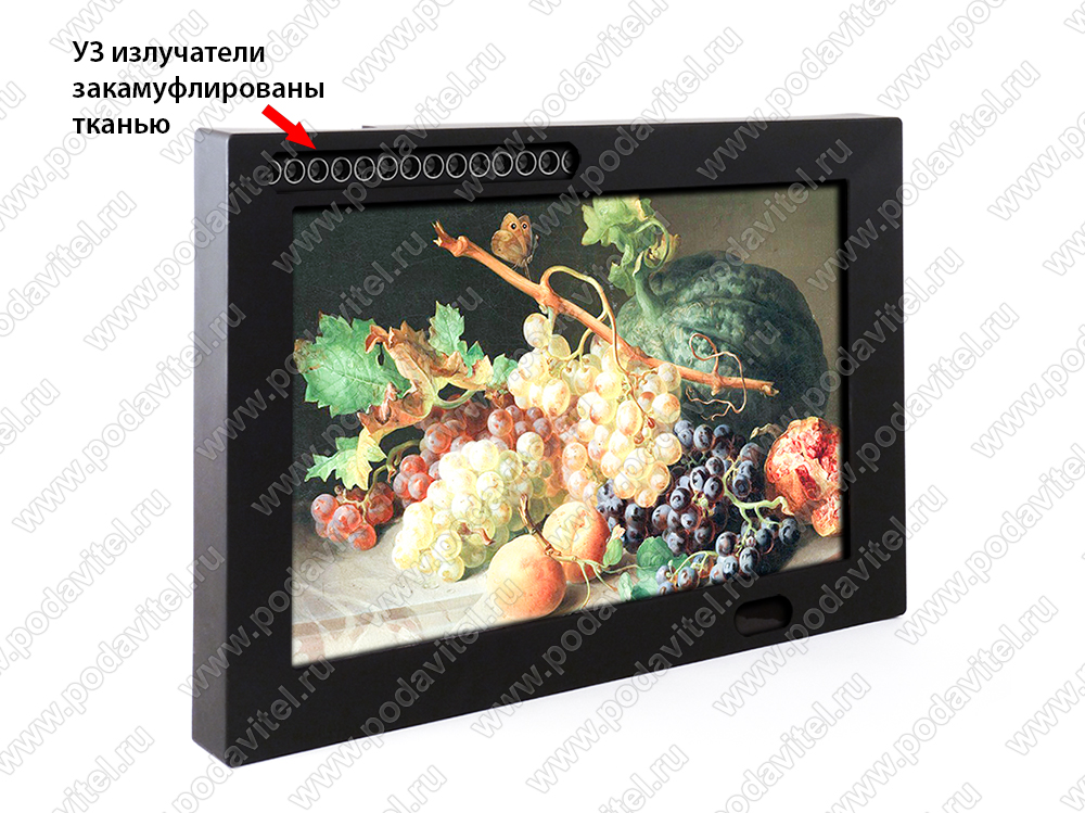 Многофункциональный комплекс защиты переговорных комнат «UltraSonic Картина»